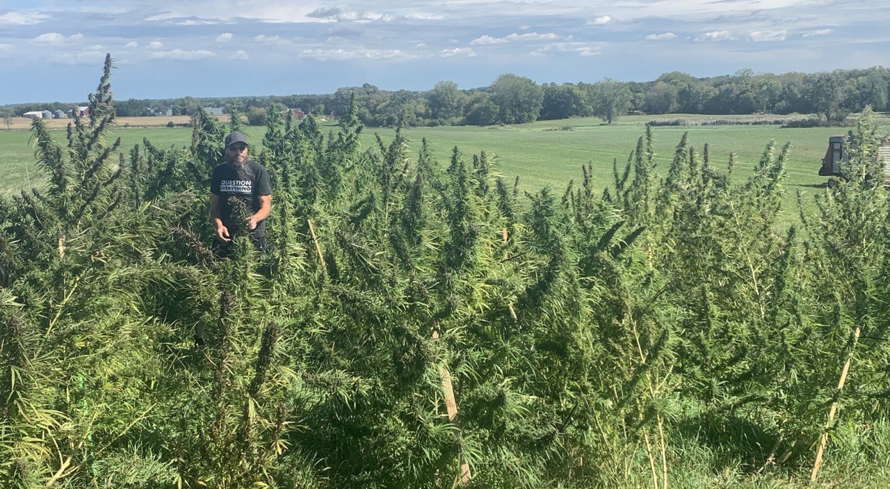 The hemp and herb garden at JJ's Garden of Health